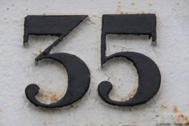 sayı 35