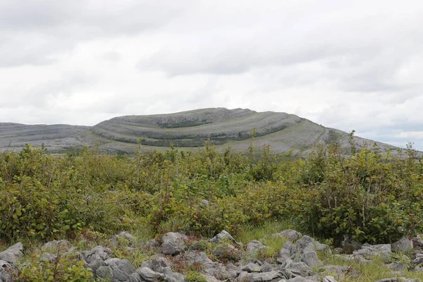 Mullaghmore döngüsü, Ireland 'ın vahşi Atlantik kıyısının doğal bir mücevheri.