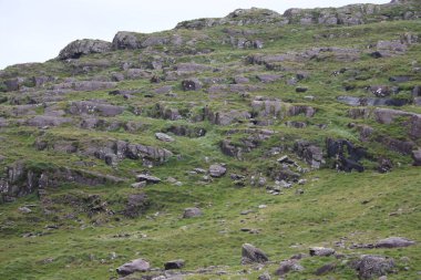 İrlanda 'daki Beara Halkası' nın yeşil tepelerinde etkileyici bir yolculuk.