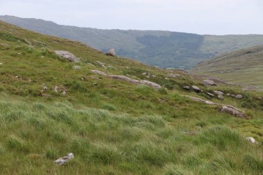 İrlanda 'daki Beara Halkası' nın yeşil tepelerinde etkileyici bir yolculuk.