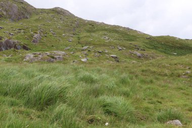 İrlanda 'daki Beara Halkası' nın yeşil tepelerinde etkileyici bir yolculuk.