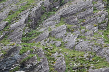 İrlanda 'daki Beara Halkası' nın yeşil tepelerinde etkileyici bir yolculuk.