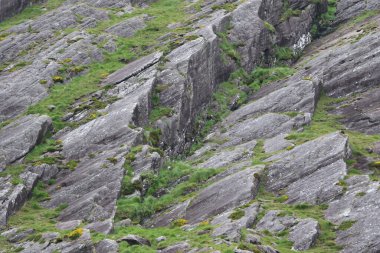 İrlanda 'daki Beara Halkası' nın yeşil tepelerinde etkileyici bir yolculuk.