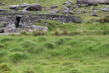 İrlanda 'daki Beara Halkası' nın yeşil tepelerinde etkileyici bir yolculuk.