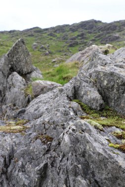 İrlanda 'daki Beara Halkası' nın yeşil tepelerinde etkileyici bir yolculuk.