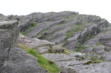 İrlanda 'daki Beara Halkası' nın yeşil tepelerinde etkileyici bir yolculuk.