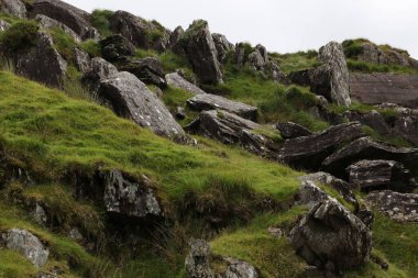 İrlanda 'daki Beara Halkası' nın yeşil tepelerinde etkileyici bir yolculuk.