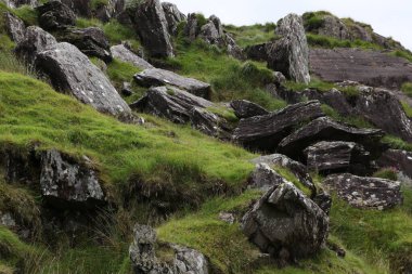 İrlanda 'daki Beara Halkası' nın yeşil tepelerinde etkileyici bir yolculuk.