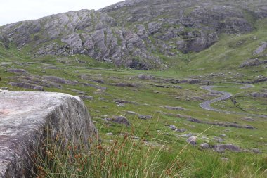 İrlanda 'daki Beara Halkası' nın yeşil tepelerinde etkileyici bir yolculuk.