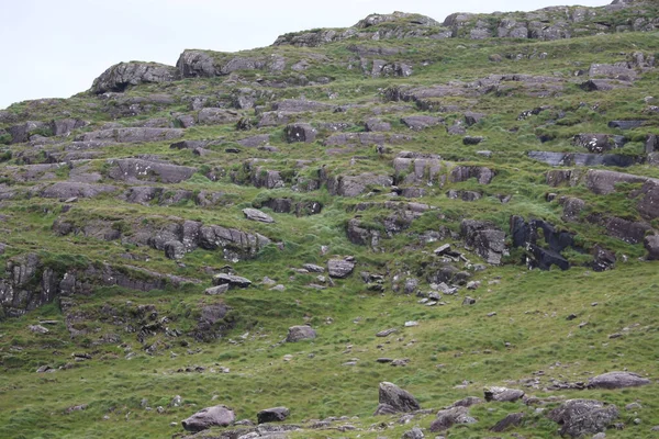 İrlanda 'daki Beara Halkası' nın yeşil tepelerinde etkileyici bir yolculuk.