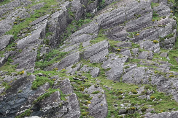 İrlanda 'daki Beara Halkası' nın yeşil tepelerinde etkileyici bir yolculuk.
