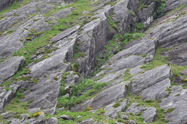 İrlanda 'daki Beara Halkası' nın yeşil tepelerinde etkileyici bir yolculuk.