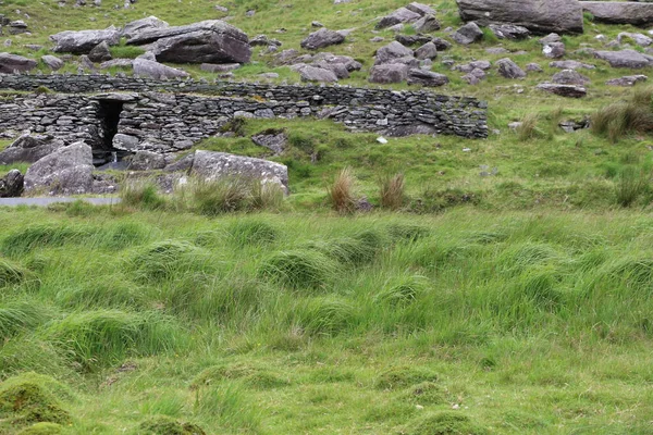 İrlanda 'daki Beara Halkası' nın yeşil tepelerinde etkileyici bir yolculuk.
