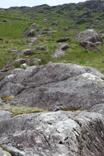 İrlanda 'daki Beara Halkası' nın yeşil tepelerinde etkileyici bir yolculuk.
