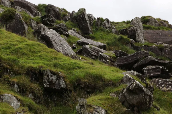 İrlanda 'daki Beara Halkası' nın yeşil tepelerinde etkileyici bir yolculuk.