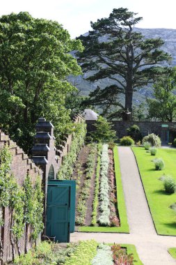 İrlanda 'daki Kylemore Manastırı' nın çiçek açan bahçeleri