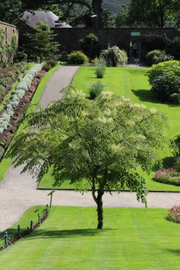 İrlanda 'daki Kylemore Manastırı' nın çiçek açan bahçeleri