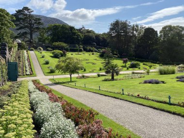 İrlanda 'daki Kylemore Manastırı' nın çiçek açan bahçeleri
