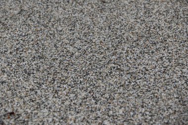 Okyanus kıyısındaki vahşi bir sahilde kumun detaylı dokusu.