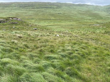 Adrigole 'un vahşi manzarası Beara Yarımadası, County Cork