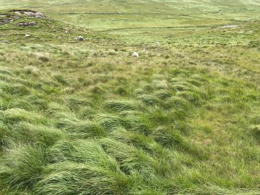 Adrigole 'un vahşi manzarası Beara Yarımadası, County Cork