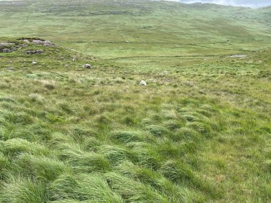 Adrigole 'un vahşi manzarası Beara Yarımadası, County Cork