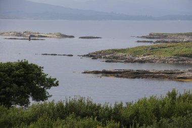 İrlanda, County Cork 'taki Beara Yarımadası' nın vahşi kıyı manzarası