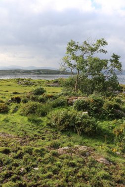 İrlanda, County Cork 'taki Beara Yarımadası' nın vahşi kıyı manzarası