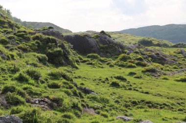 İrlanda, County Cork 'taki Beara Yarımadası' nın vahşi kıyı manzarası