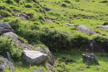 İrlanda, County Cork 'taki Beara Yarımadası' nın vahşi kıyı manzarası