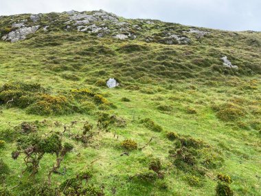 Vahşi Connemara, İrlanda manzarası