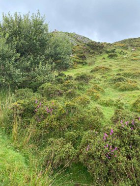 Vahşi Connemara, İrlanda manzarası
