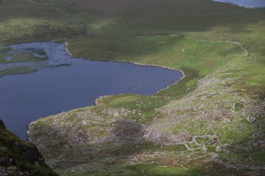 İrlanda kırsalının tipik yemyeşil manzarası