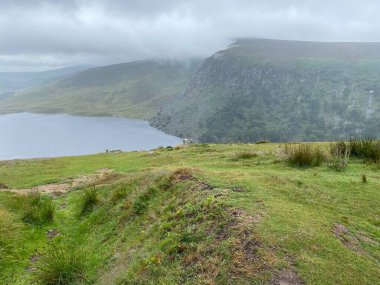 İrlanda 'nın Wicklow ilçesindeki Calary platosunun vahşi ve engebeli manzarası
