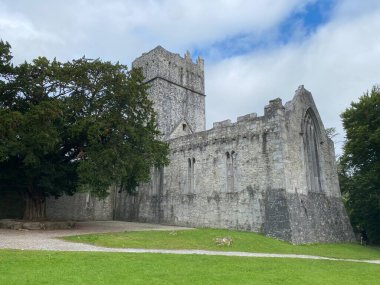 Kerry ilçesi Killarney Ulusal Parkı 'ndaki Muckross Manastırı' nın ortaçağ kalıntıları.
