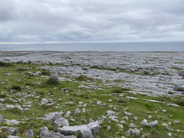 Burren bölgesinin güneyindeki Murrooghtoohy 'da kireçtaşı karst manzarası
