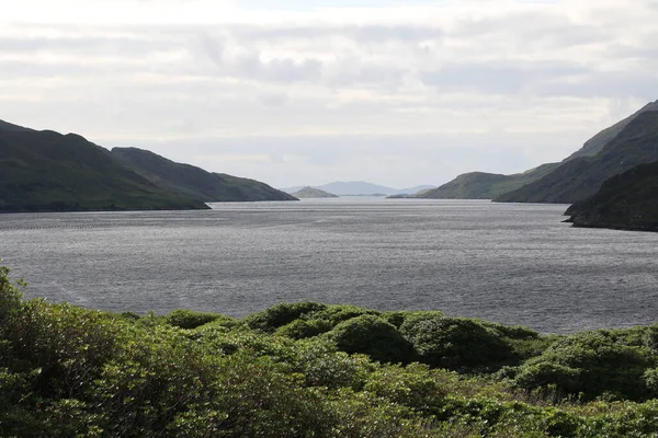 Derrynacleigh tepelerinden Killary Limanı fiyordunun nefes kesici panoramik görüntüsü