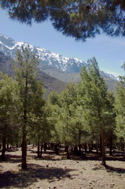 yüksek atlas Dağları