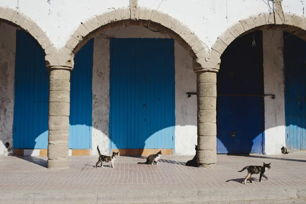 Ruas de essaouira — Fotografia de Stock