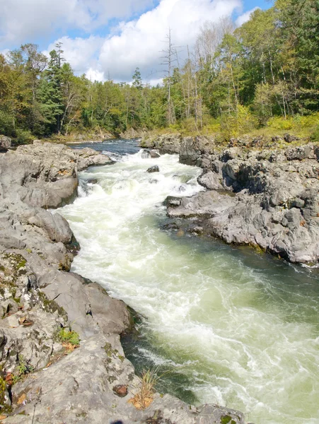 Rio taiga difícil — Fotografia de Stock