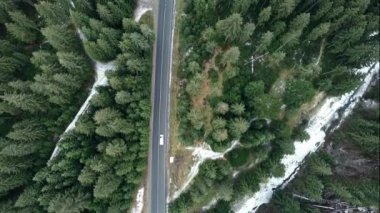 Şehir yolundaki çam ağaçlarının arasından geçen arabanın yukarıdan görünüşü..