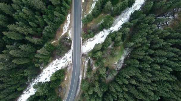 Auto rijden op de weg door het bos in de bergen — Stockvideo