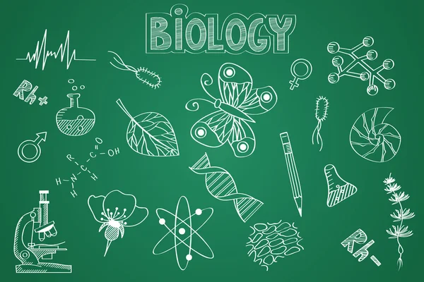 Hand drawn Biology set. Chalk on the blackboard — Stock Vector