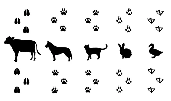 Ensemble vectoriel de traces d'animaux de ferme à pied — Image vectorielle
