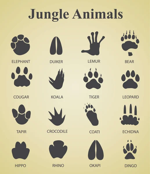Készlet a dzsungelben állatok lábnyomai — Stock Vector