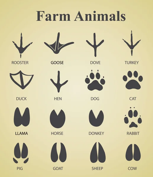 Set of farm animal tracks — Stock Vector