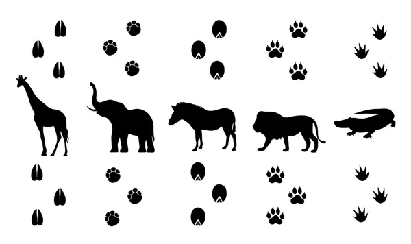 Conjunto vectorial de huellas de animales safari a pie — Vector de stock