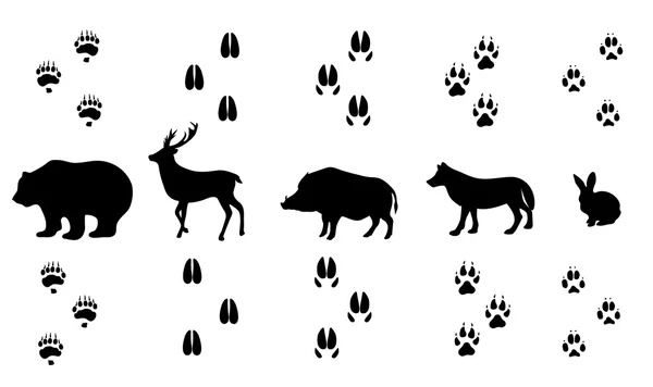 Векторный набор троп для ходячих диких животных — стоковый вектор