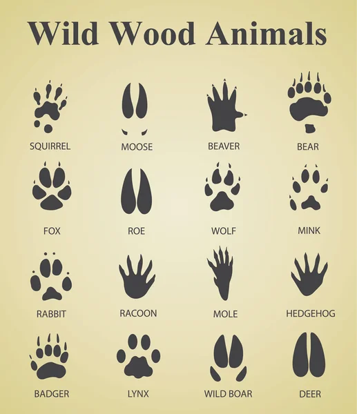 Set of wild wood animal tracks — Stock Vector