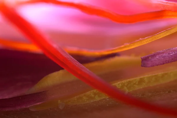 Extreme Macro Close Interior Saffron Flower — ストック写真